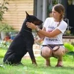 Un Dóberman con una chica haciéndole cariño